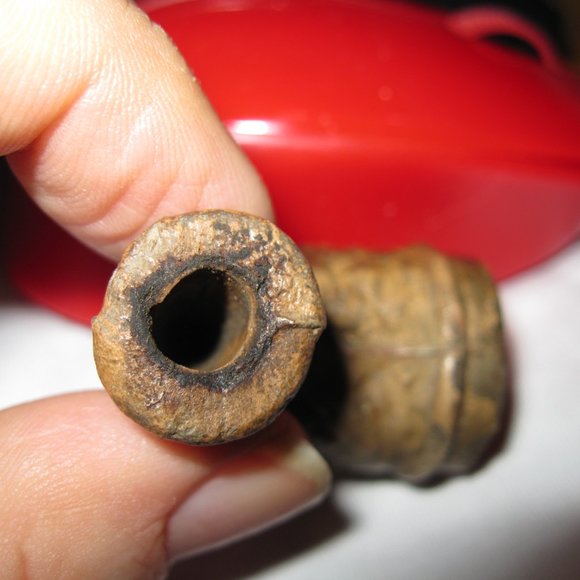 Indian Pipes from the mid west - Picture 13 of 16